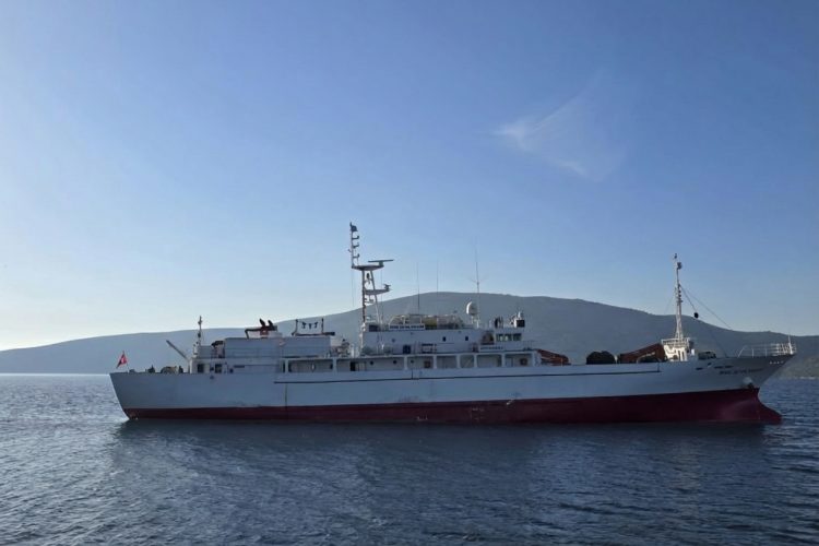 Generated Image December 15, 2025 - 6_09PM