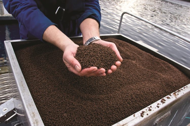 HENDER_FOLDER (Large)