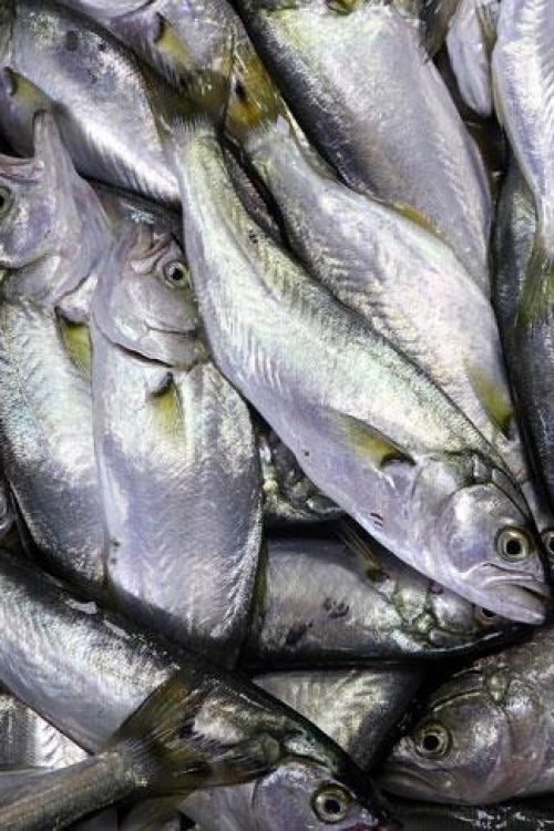 thumbs_b_c_f45ec65caf2afc2a44555b9fabf51528